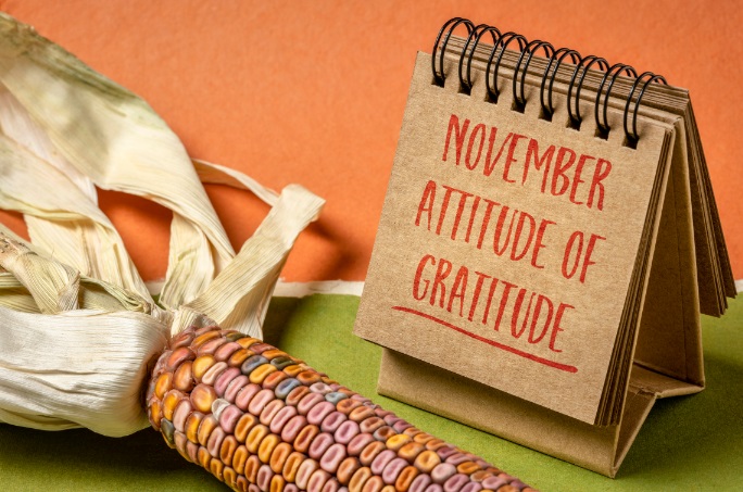 November Newsletter – Give Thanks This Year with an Up-to-Date Estate Plan